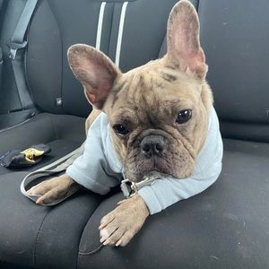 Meet your Posher, Julio